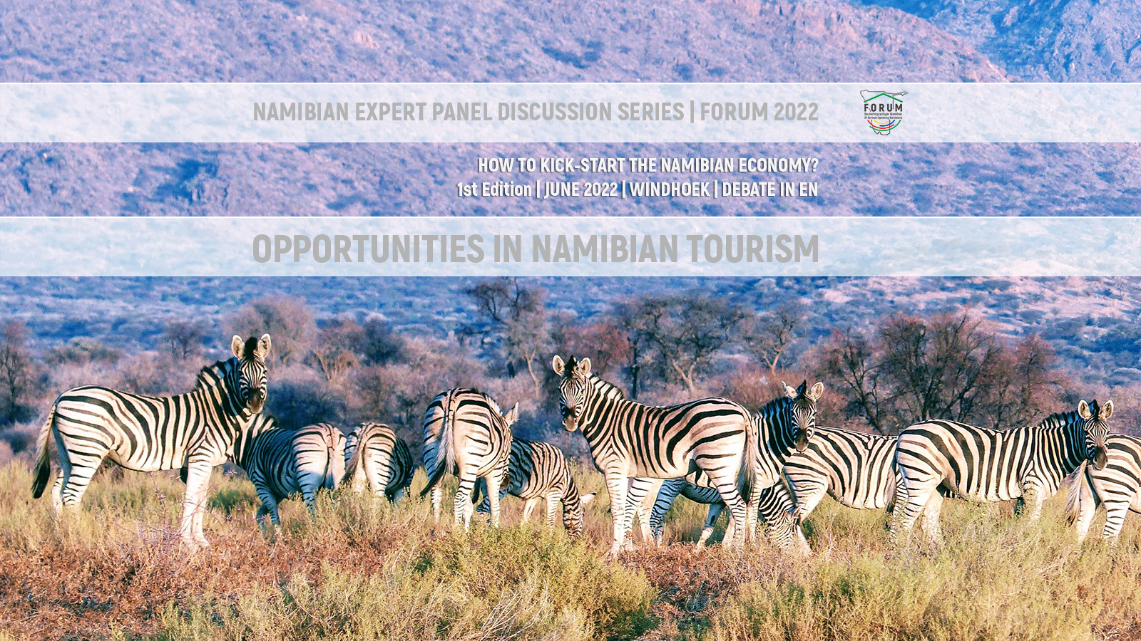 Read more about the article Opportunities in Namibian Tourism | Part I | Namibian Expert Panel Discussion Series | FORUM 2022